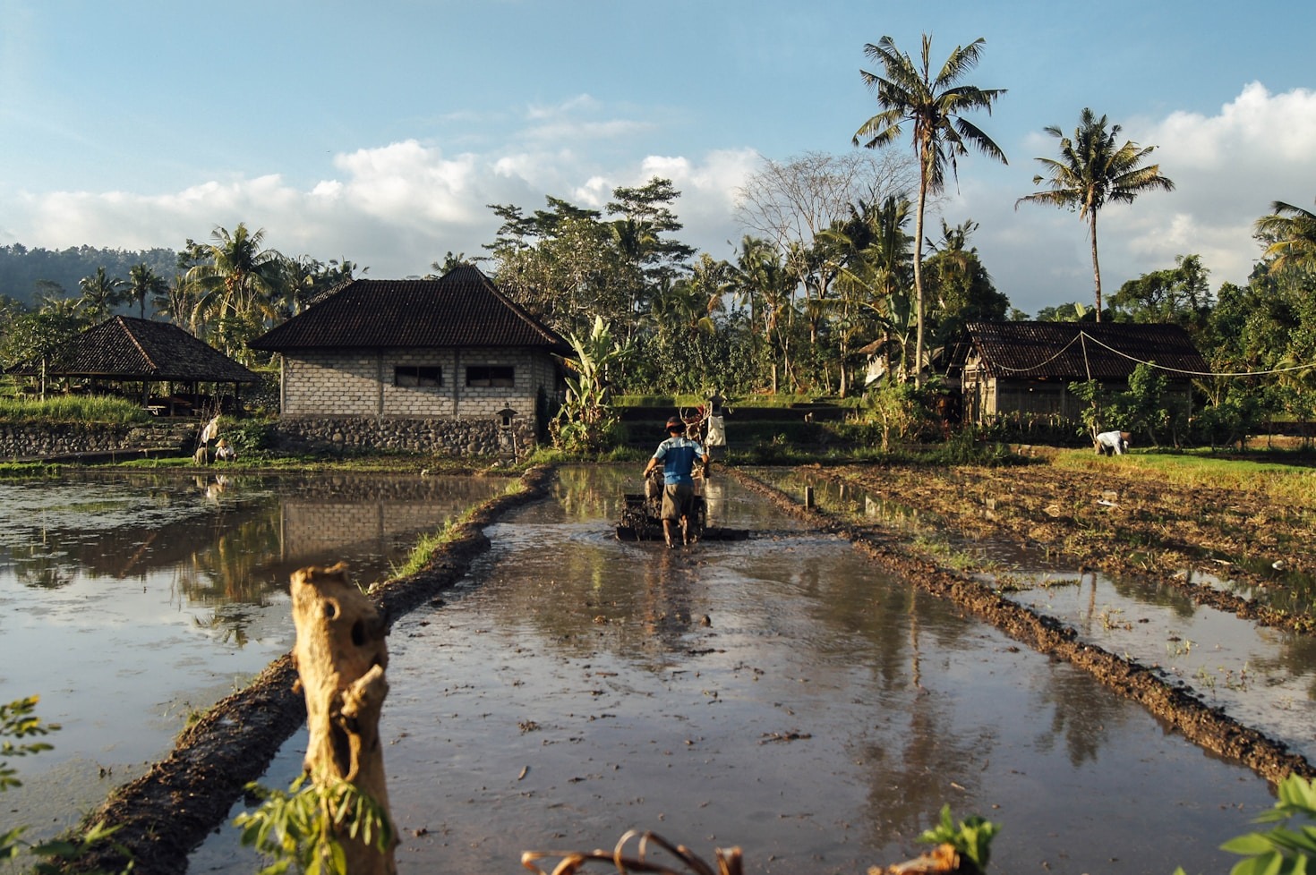 The Future of Food: Insights from AAPA Farmers